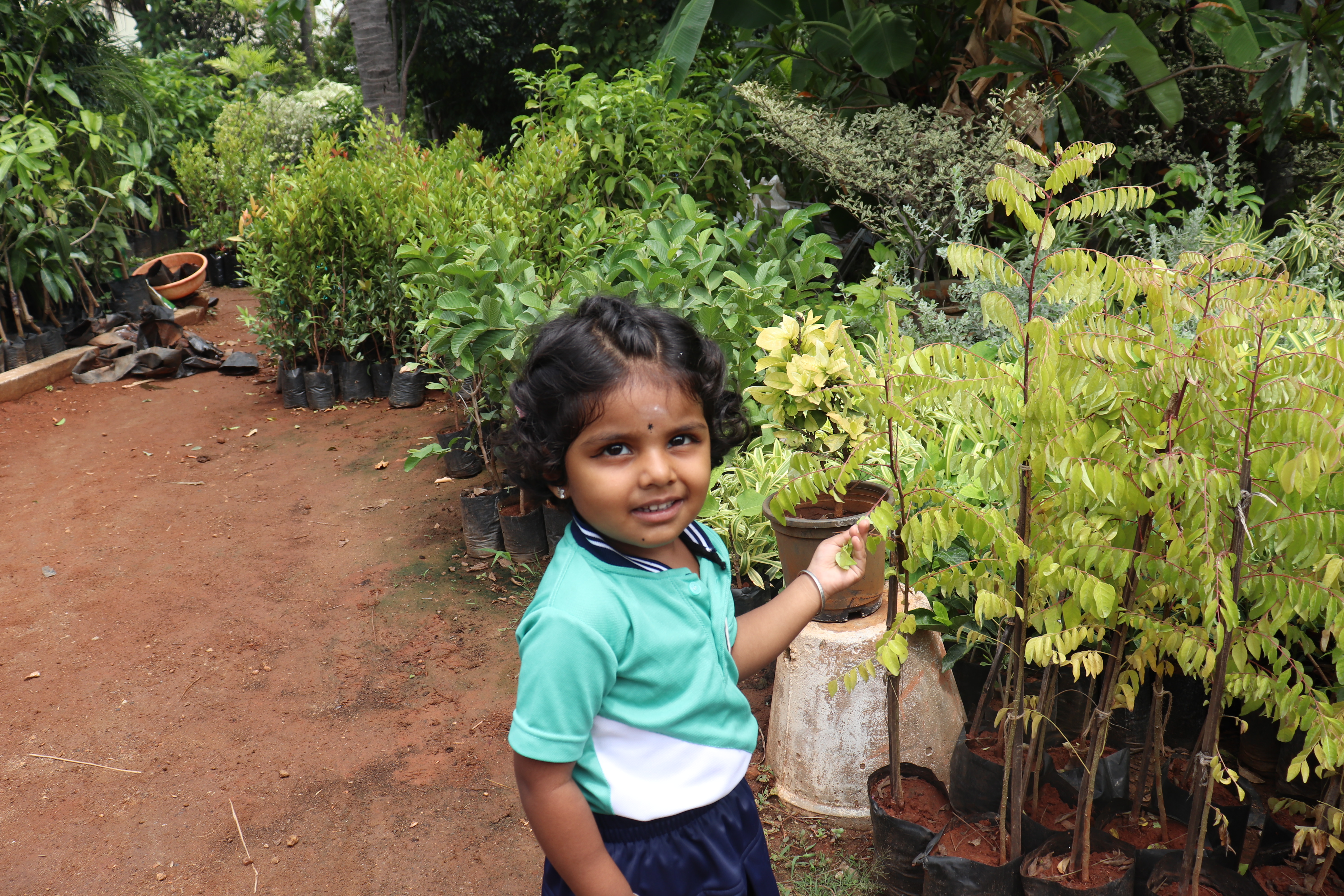 Field Visit to Nursery